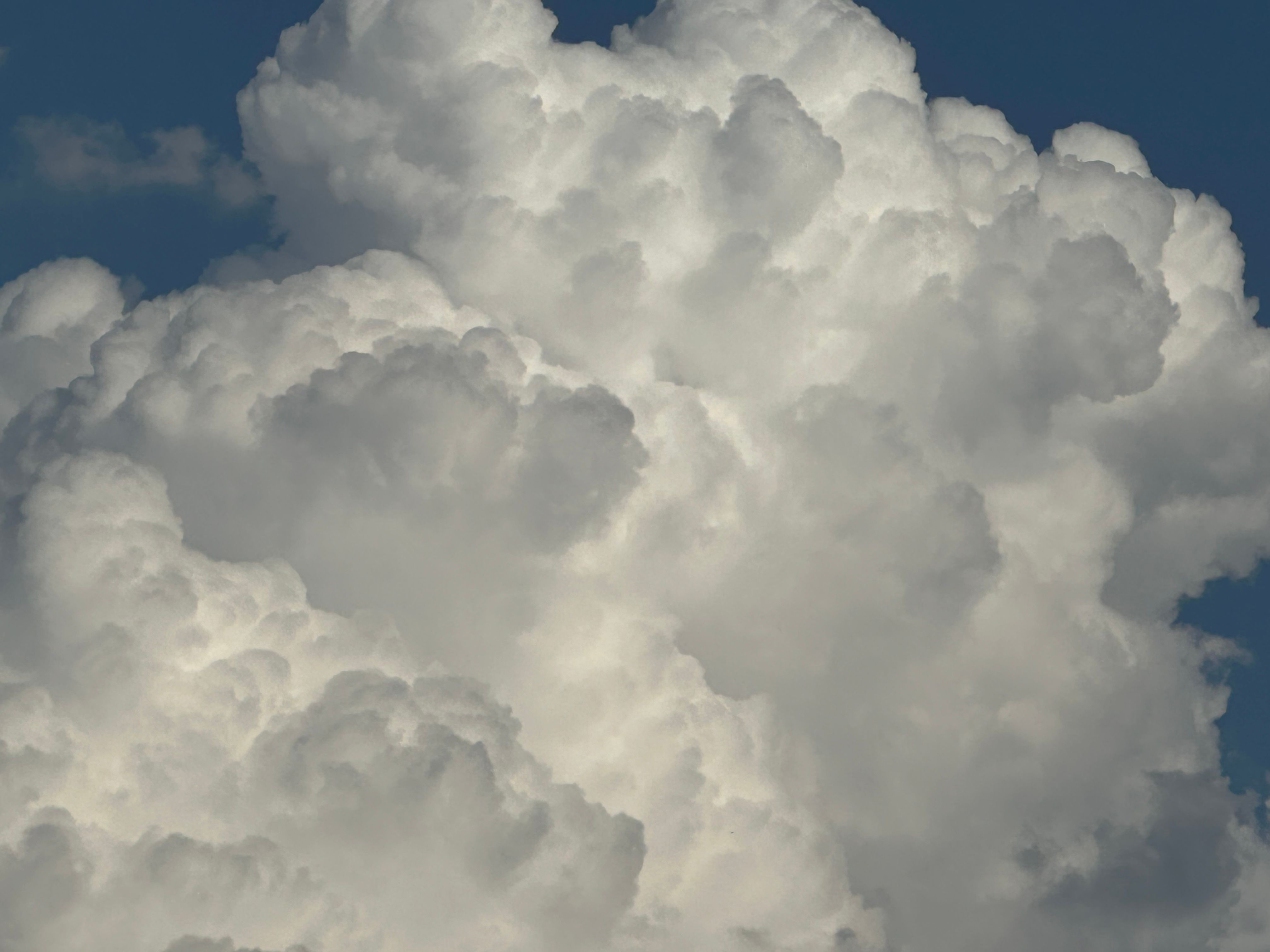 Majestic cumulus cloud formation soaring high contrasted with deep blue sky.
