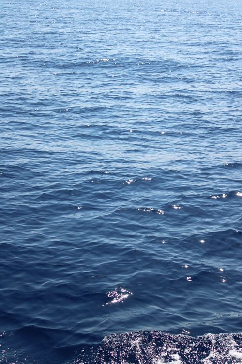 Free A serene view of sparkling blue ocean waves under clear daylight, capturing the ocean's vastness. Stock Photo