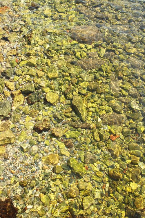 Free A clear stream of water flowing gently over green rocks, capturing the serenity of nature. Stock Photo