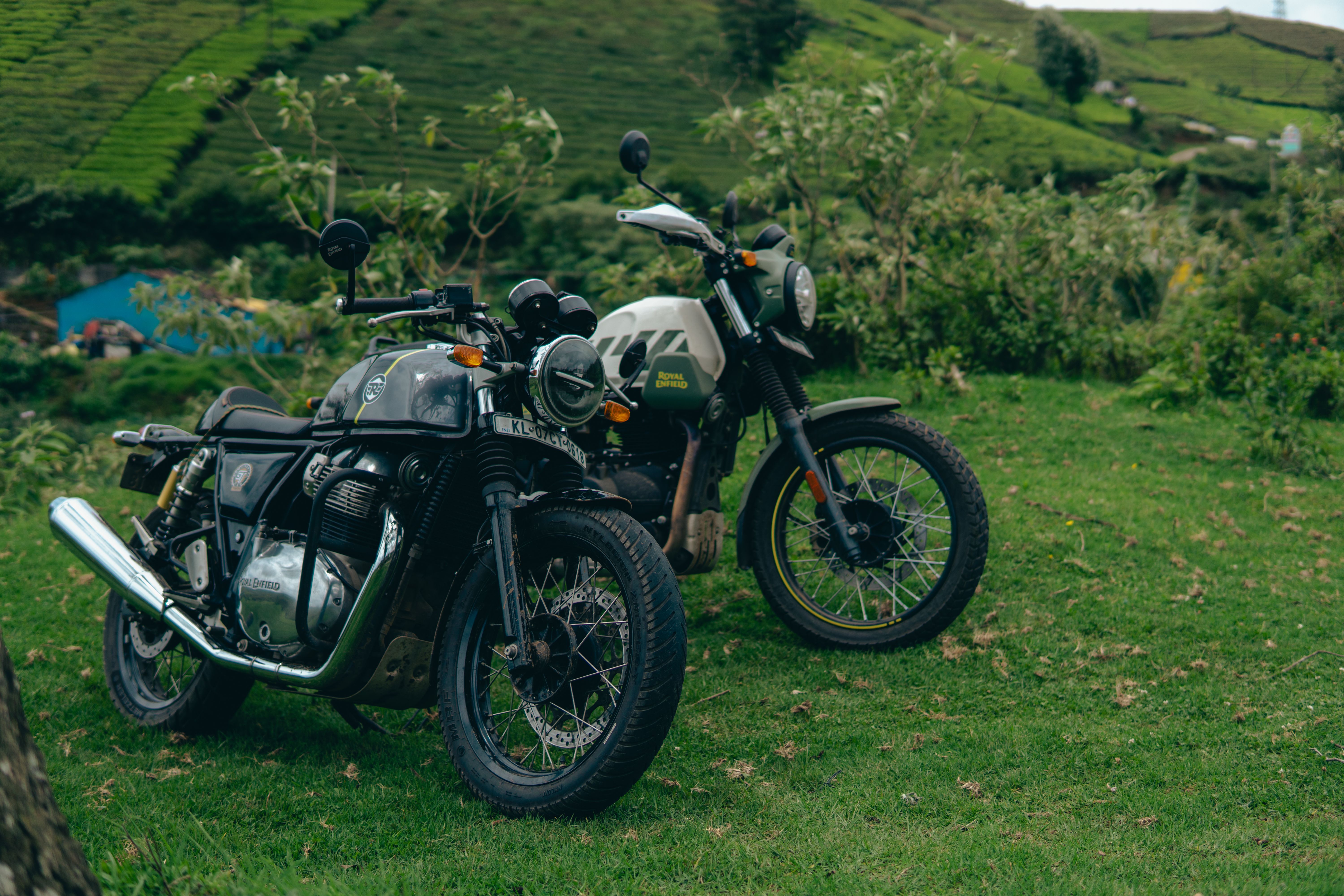 Two Royal Enfield motorcycles parked amidst the lush green tea estates of Ooty, Tamil Nadu, India.
