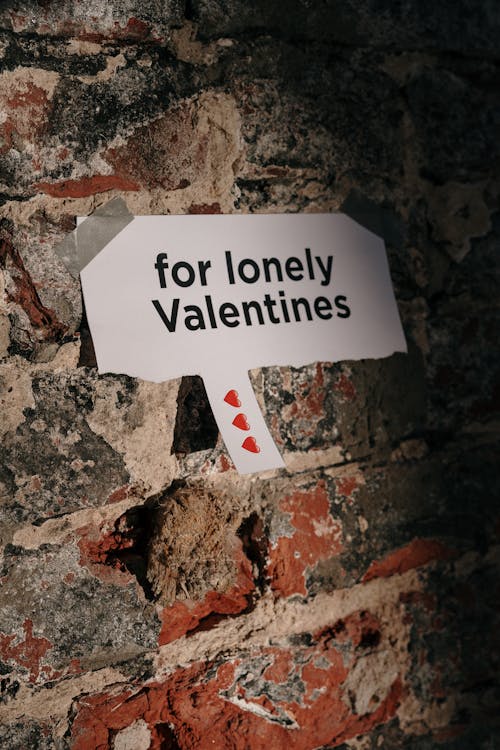 Gratis arkivbilde med for ensomme valentiner, grunt fokus, nærbilde
