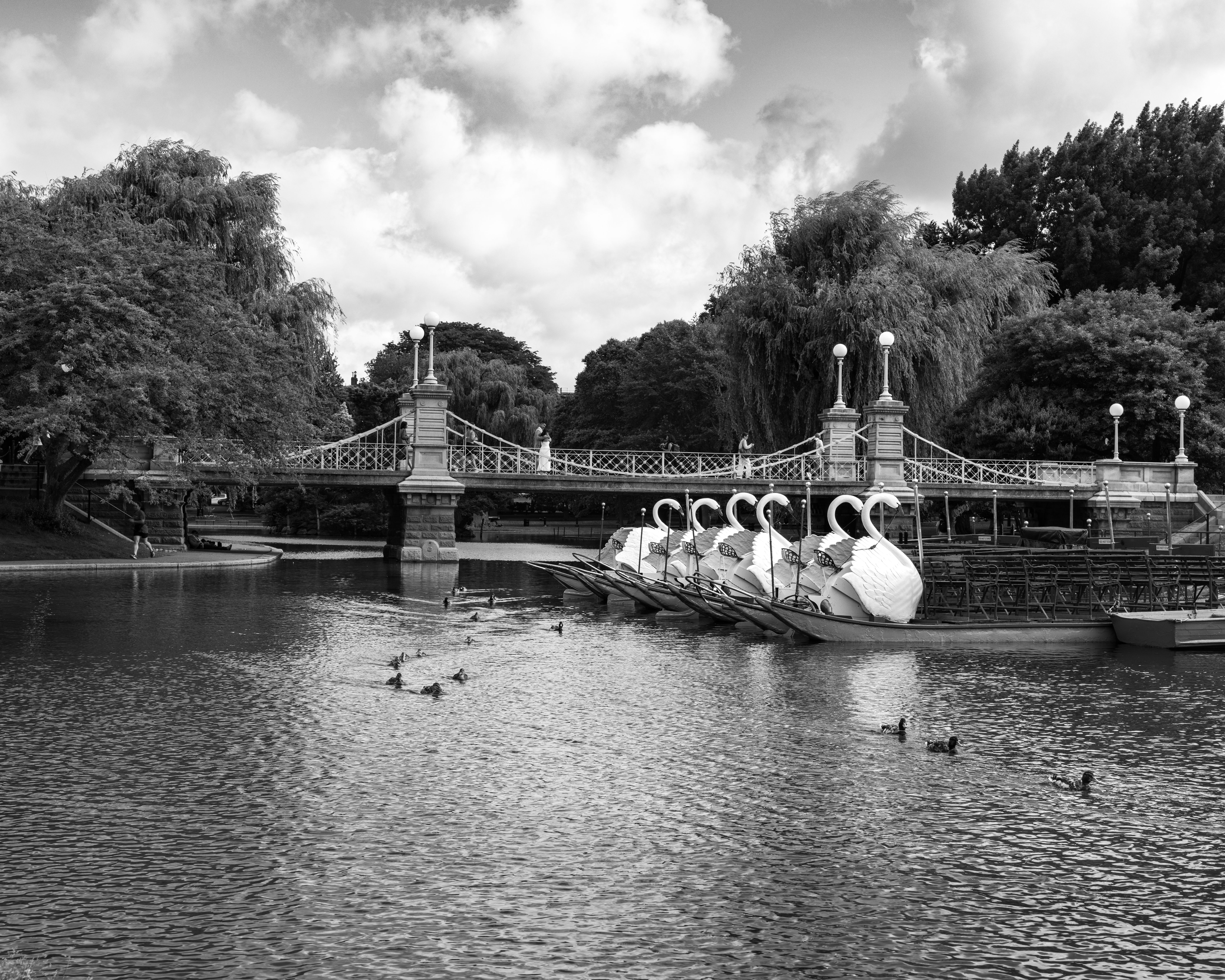 A black-and-white view across a pond of white swan-shaped paddle boats moored beside a footbridge with lamp posts, under a cloudy sky and tall trees