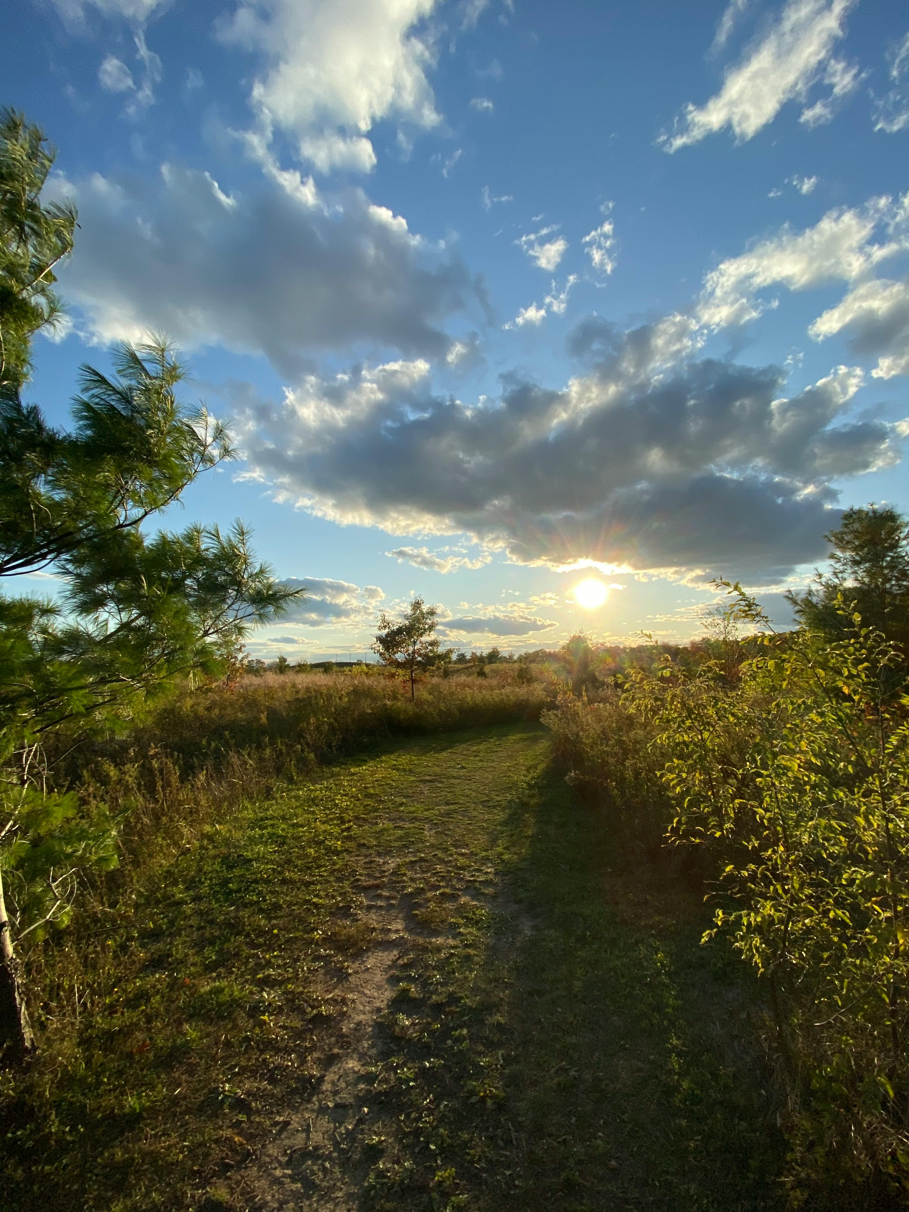 North 5 Photos & Videos Collected by Dylan Harvey