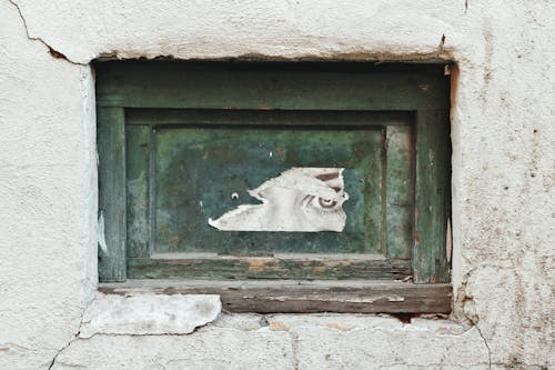 Janela De Madeira Marrom Com Cabeça De Animal De Concreto Branco