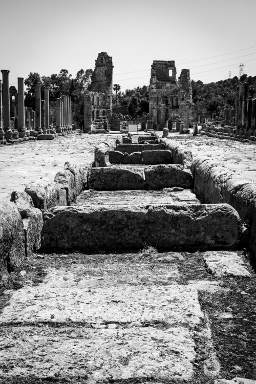 Free Black and white photo of an ancient Roman ruins with a stone pathway and standing columns. Stock Photo