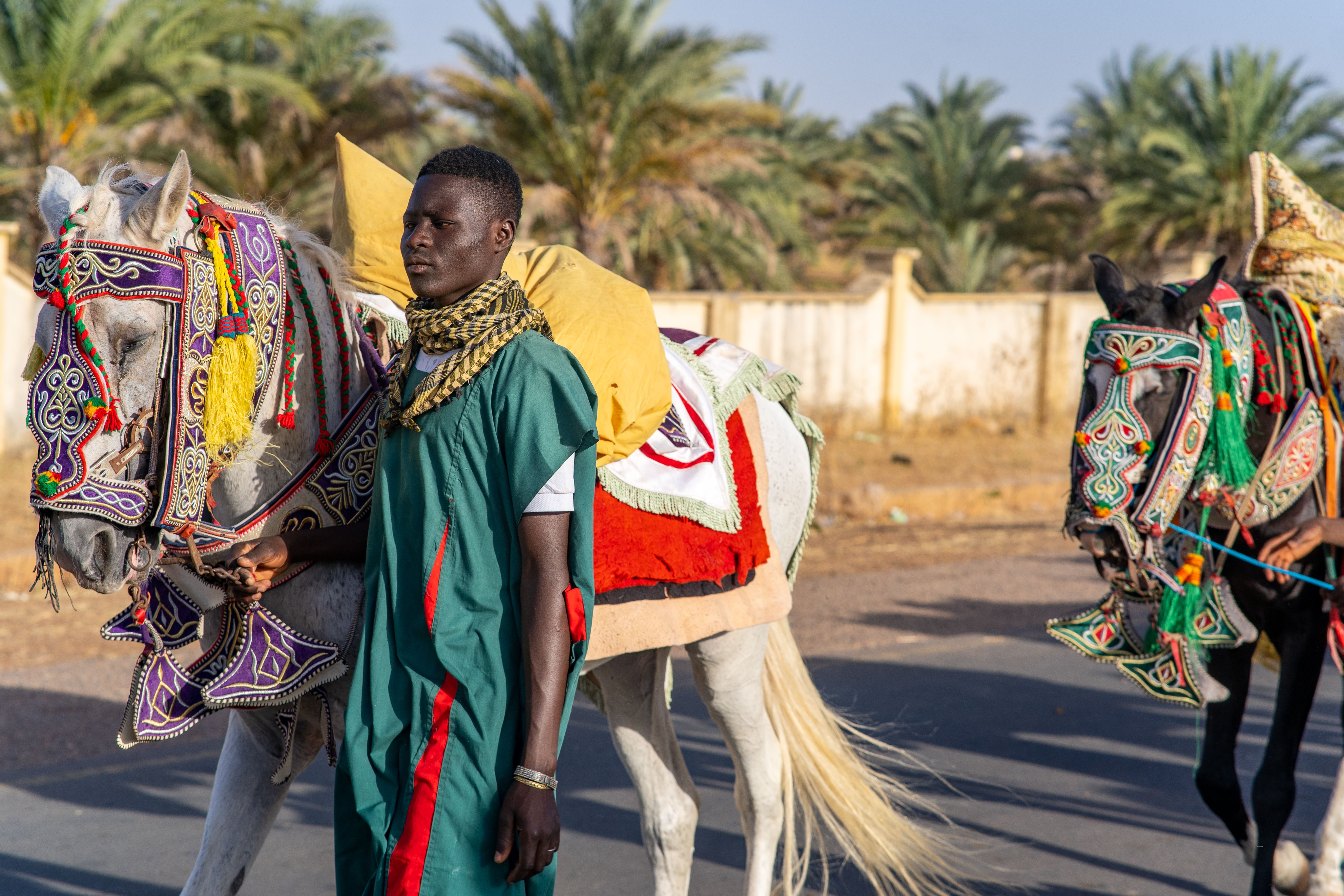 A man in traditional attire leads decorated horses during a cultural ceremony in Dutse, Nigeria.