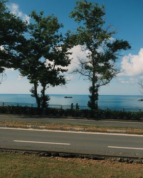A picturesque view of a coastal road lined with trees against a clear blue ocean backdrop.