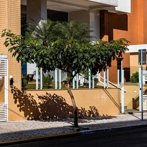Free Street view of a Brazilian urban building facade with lush greenery casting shadows on a sunny day. Stock Photo