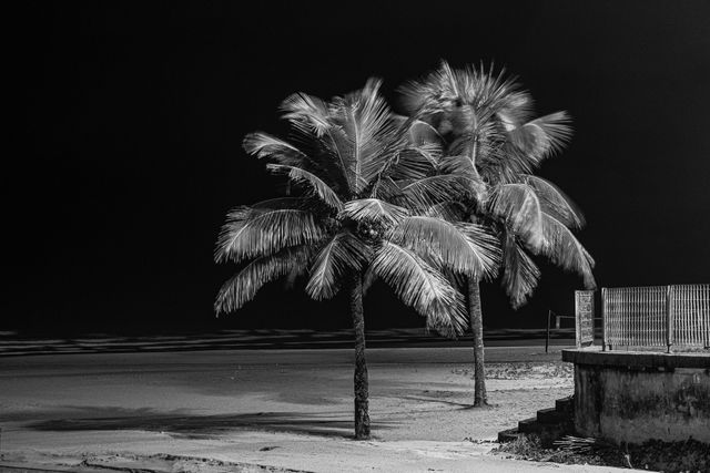 Photo by Juan Pablo Daniel on Pexels Photo by Juan Pablo Daniel on Pexels