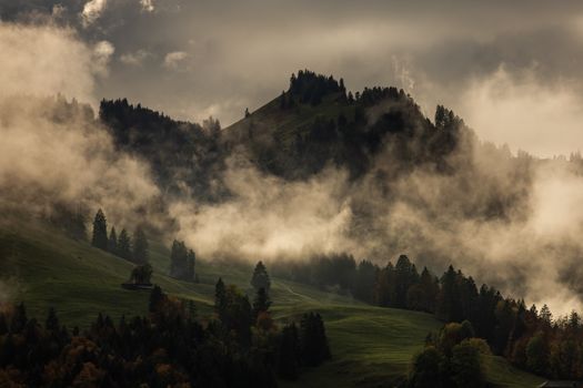 Atmospheric view of a misty mountain landscape with fog and trees.