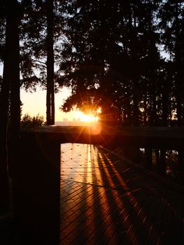 Dramatic sunset with sun rays shining through trees creating a warm, inviting atmosphere.