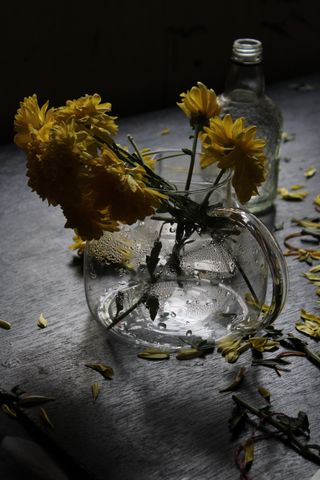 Still life of yellow flowers with fallen petals by Jahra Tasfia Reza on Pexels