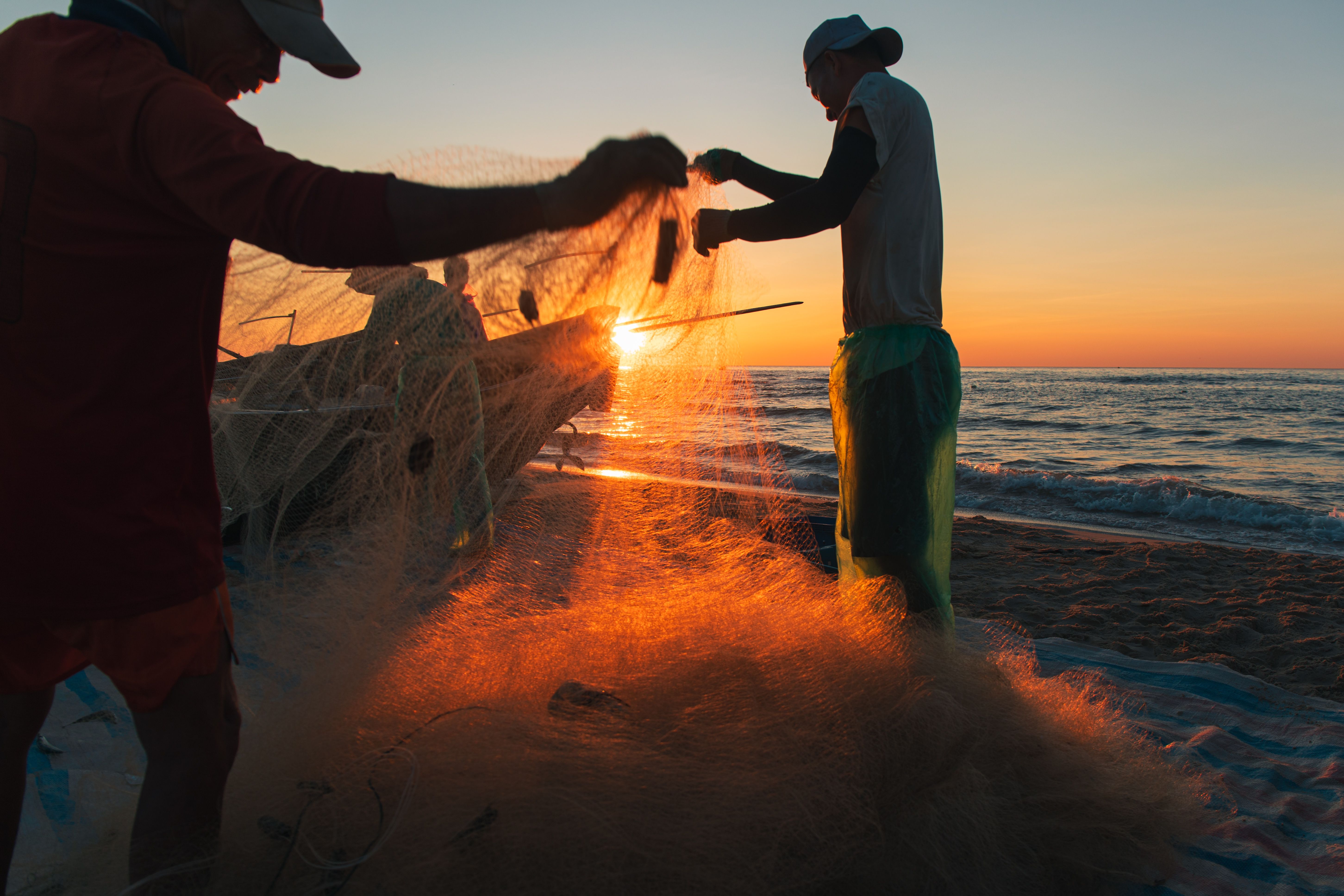 Dawn Anchovy Fishing Trip with Local Fishermen