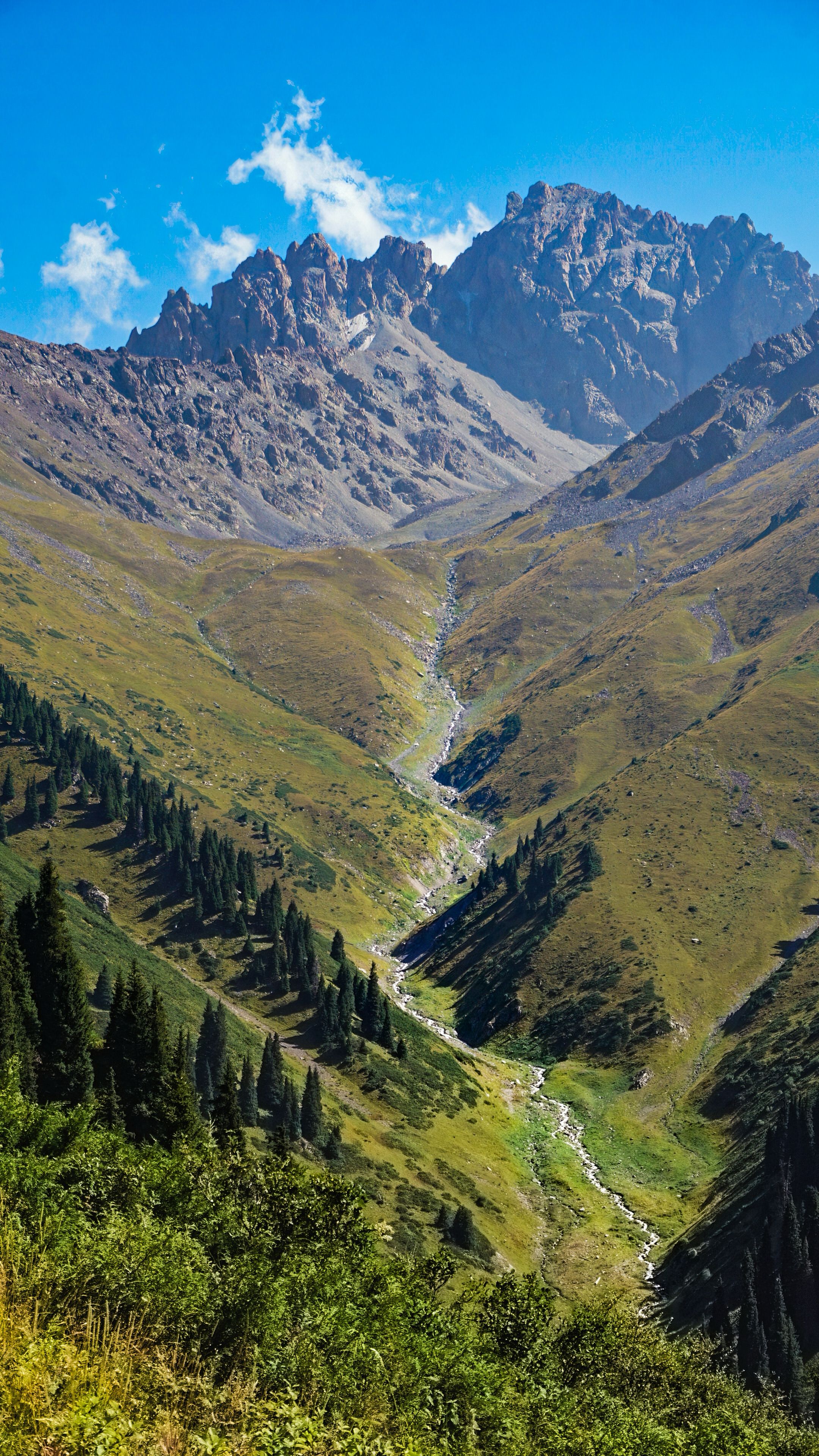 A stunning view of majestic mountains and lush valleys in the Almaty Region, Kazakhstan on a bright sunny day.