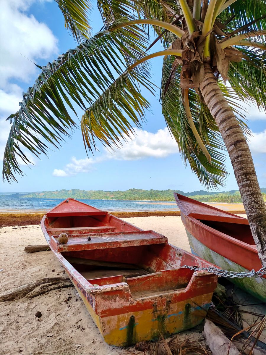 Colourful fishing boats under a palm tree on a Samaná beach