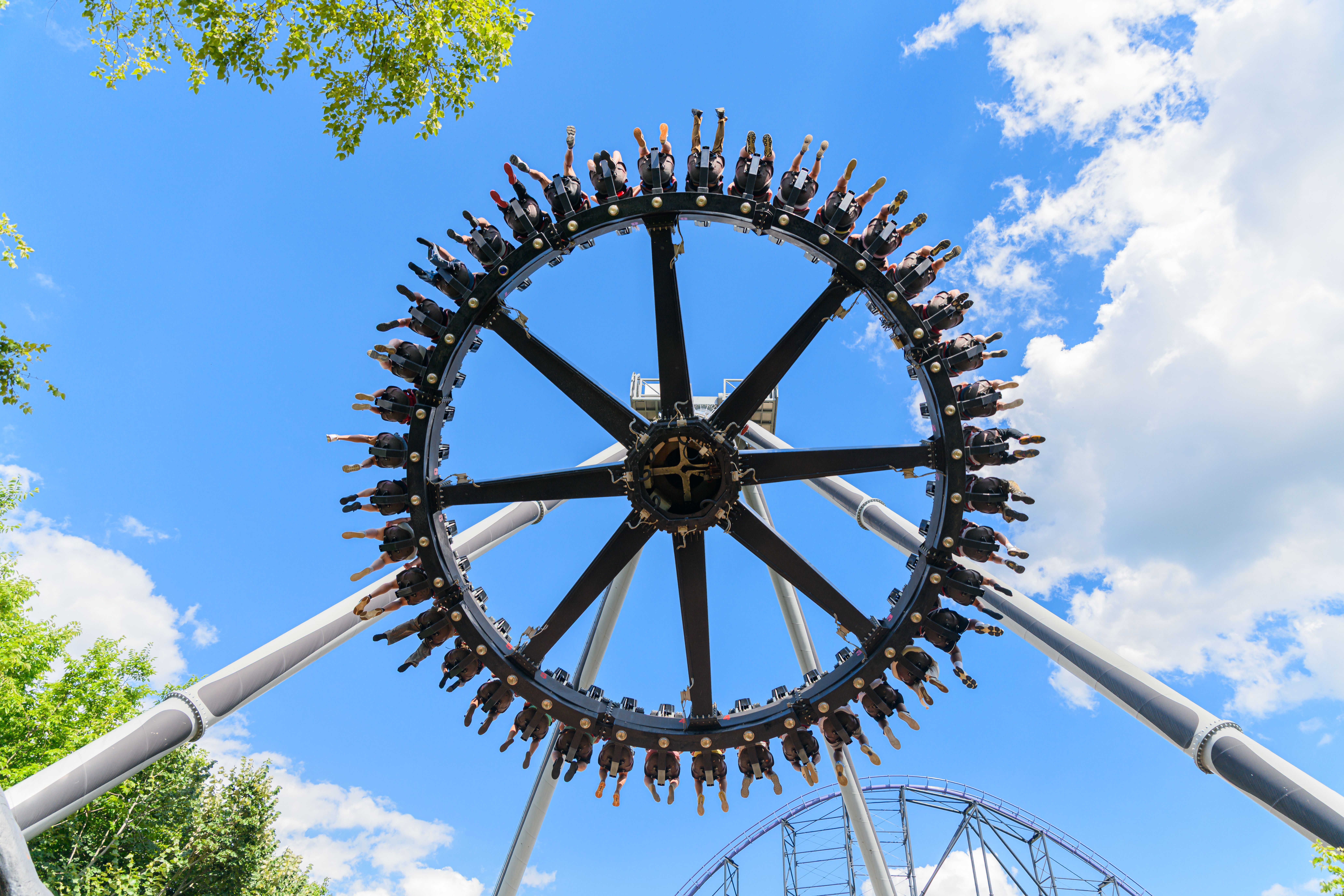 Spin to win: How this life insurance company turns healthy habits into a game — Photo by Jay Brand on Pexels