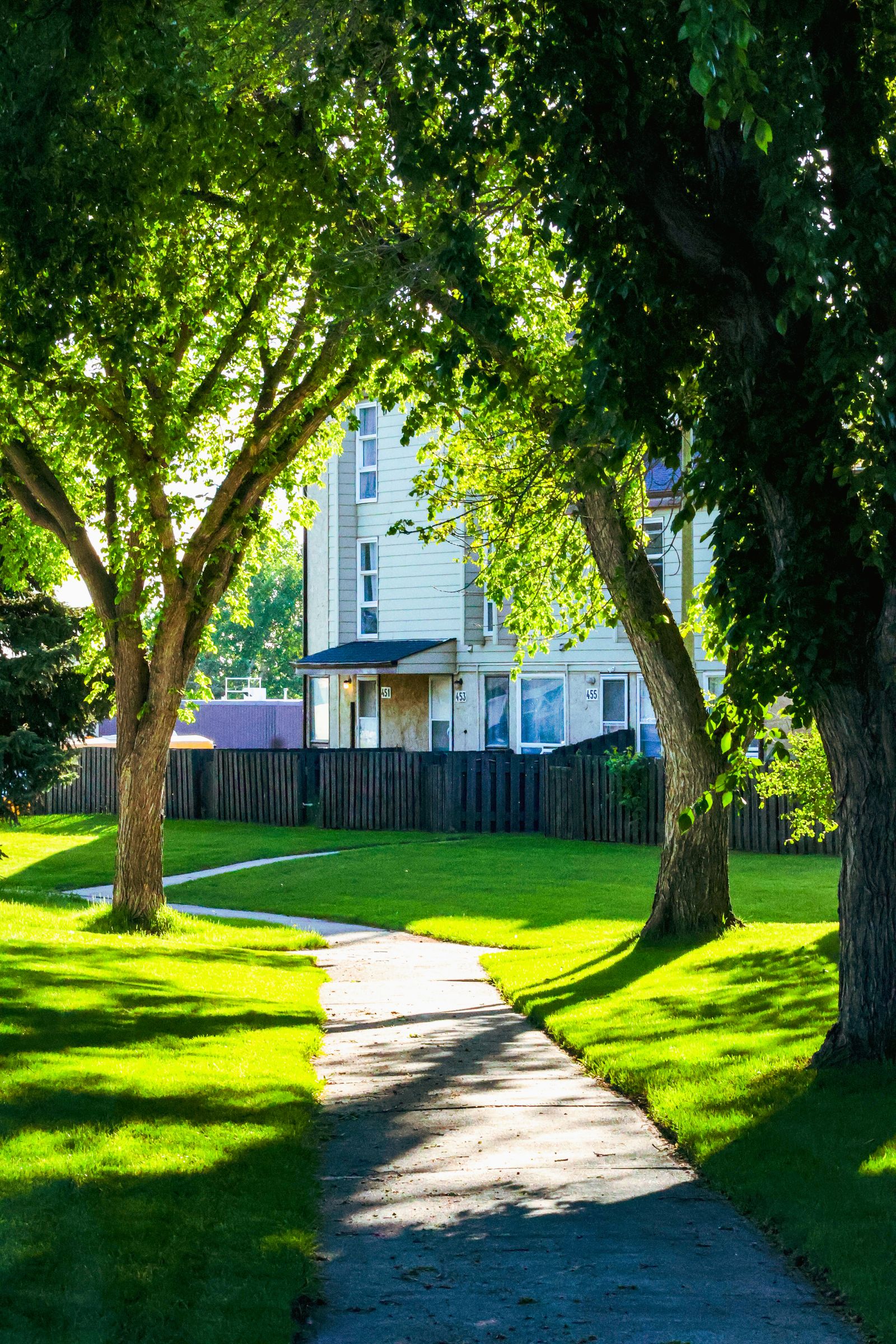 Suburban pathway through a summer lawn