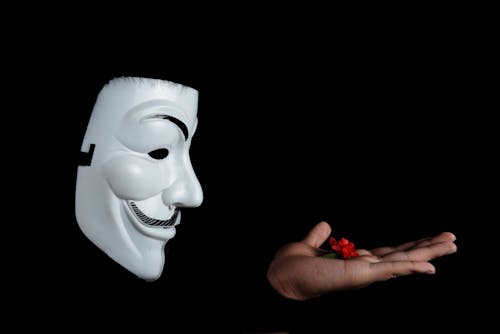 Free Guy Fawkes Mask and Red Flower on Hand Stock Photo