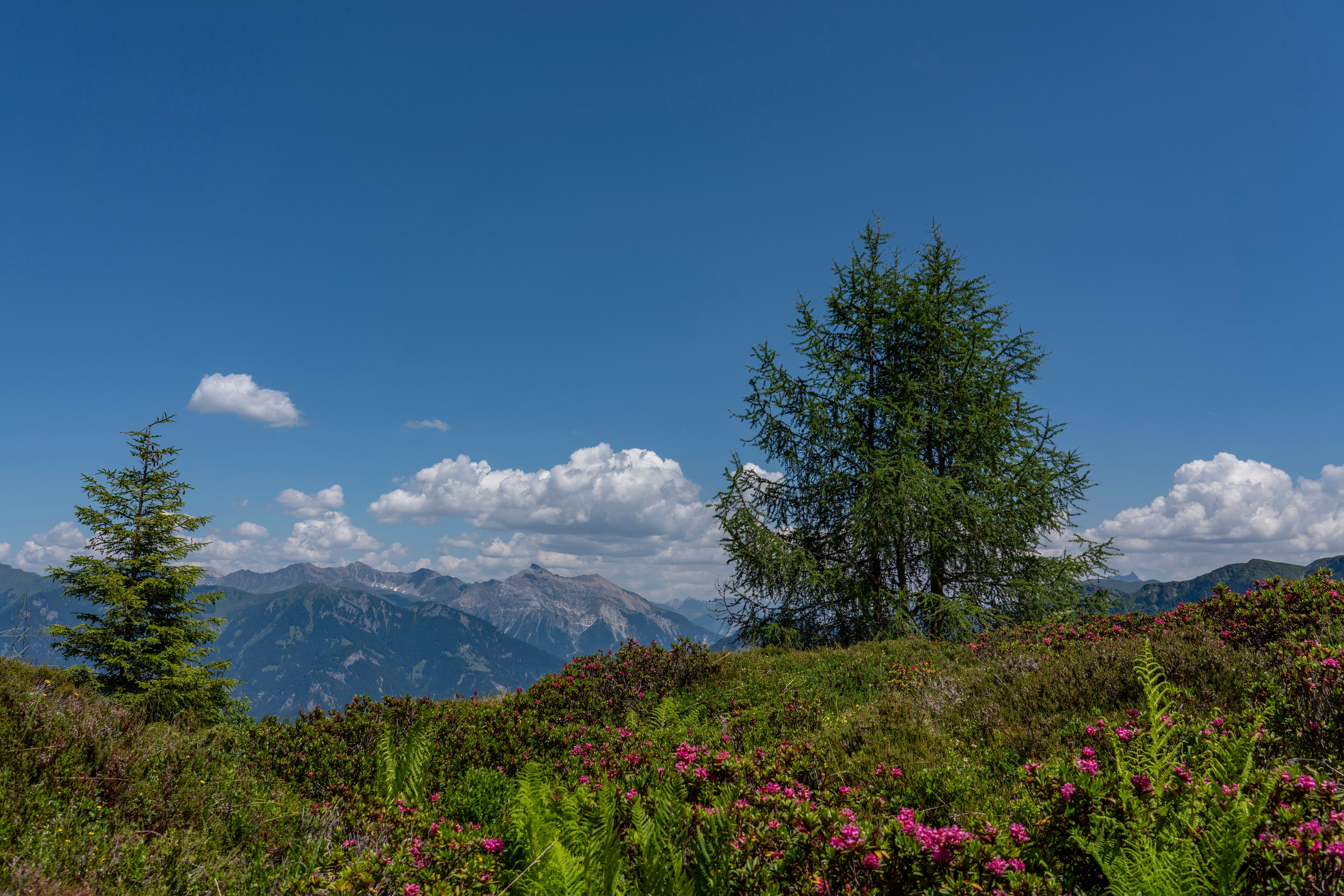 Romantische Berglandschaft
