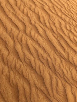 阳光明媚的沙漠中，涟漪沙丘的细节尽显自然的纹理与图案
