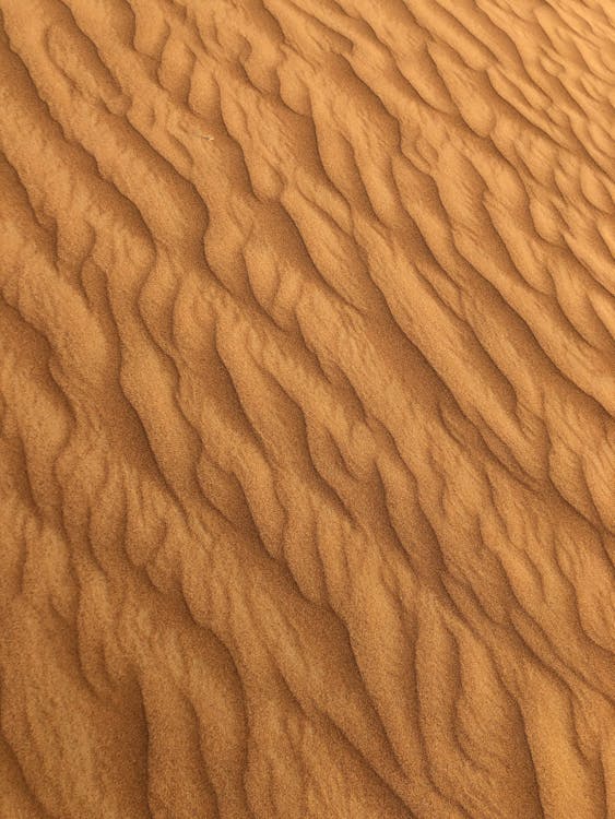 Sand Dunes Texture