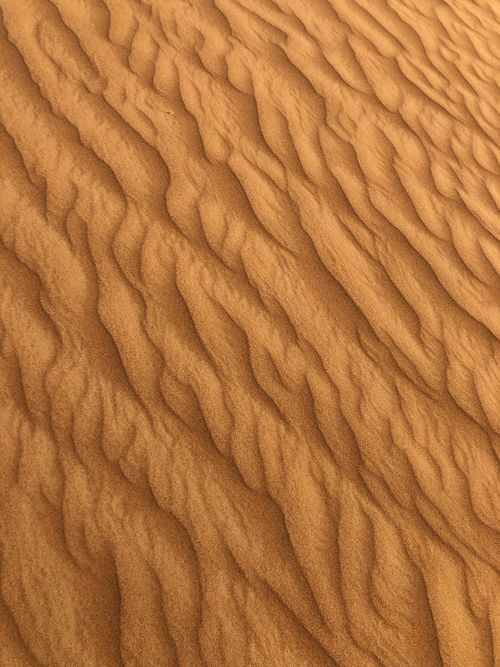 Free A detailed view of rippling sand dunes in a sunlit desert, showcasing natural texture and patterns. Stock Photo