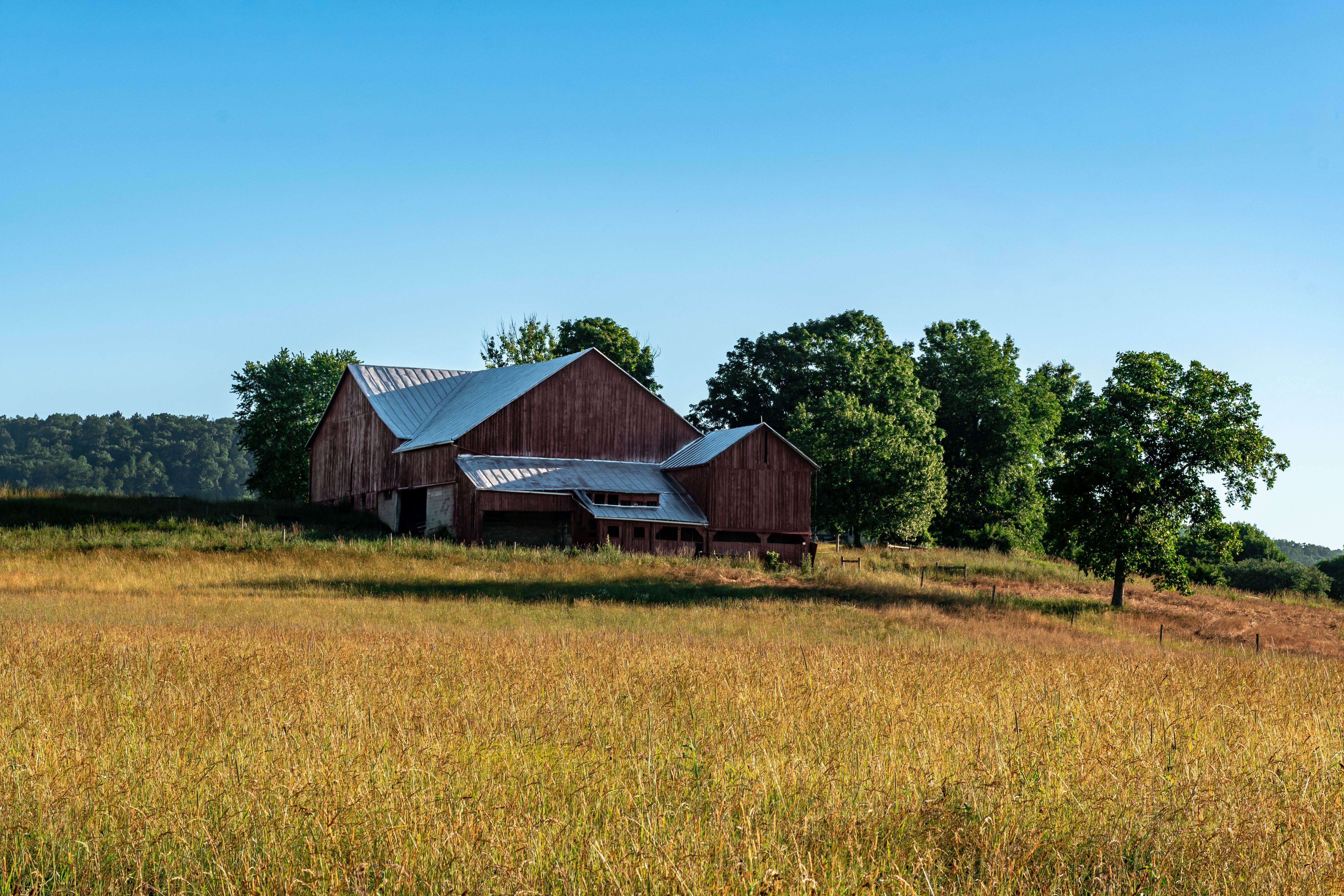 COUNTRY LIFE: Barn Buddies 4-H Club learns about local civics — Photo by Michael S on Pexels