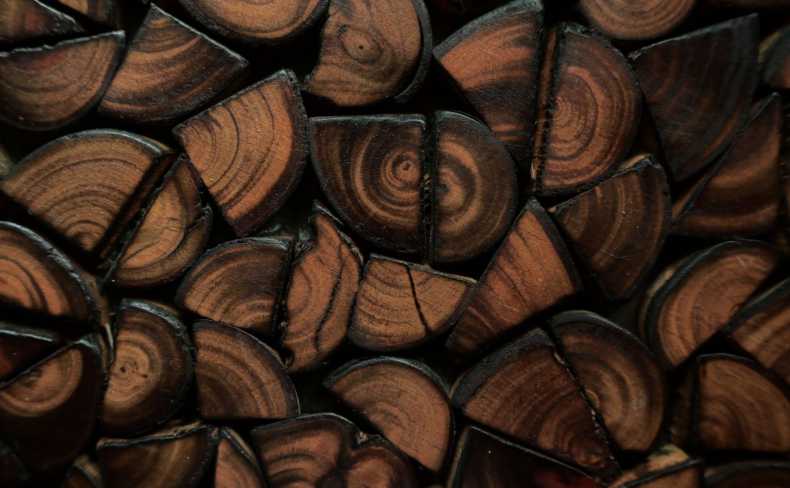 Detailed view of circular cut wooden logs with visible rings, forming a rustic texture.