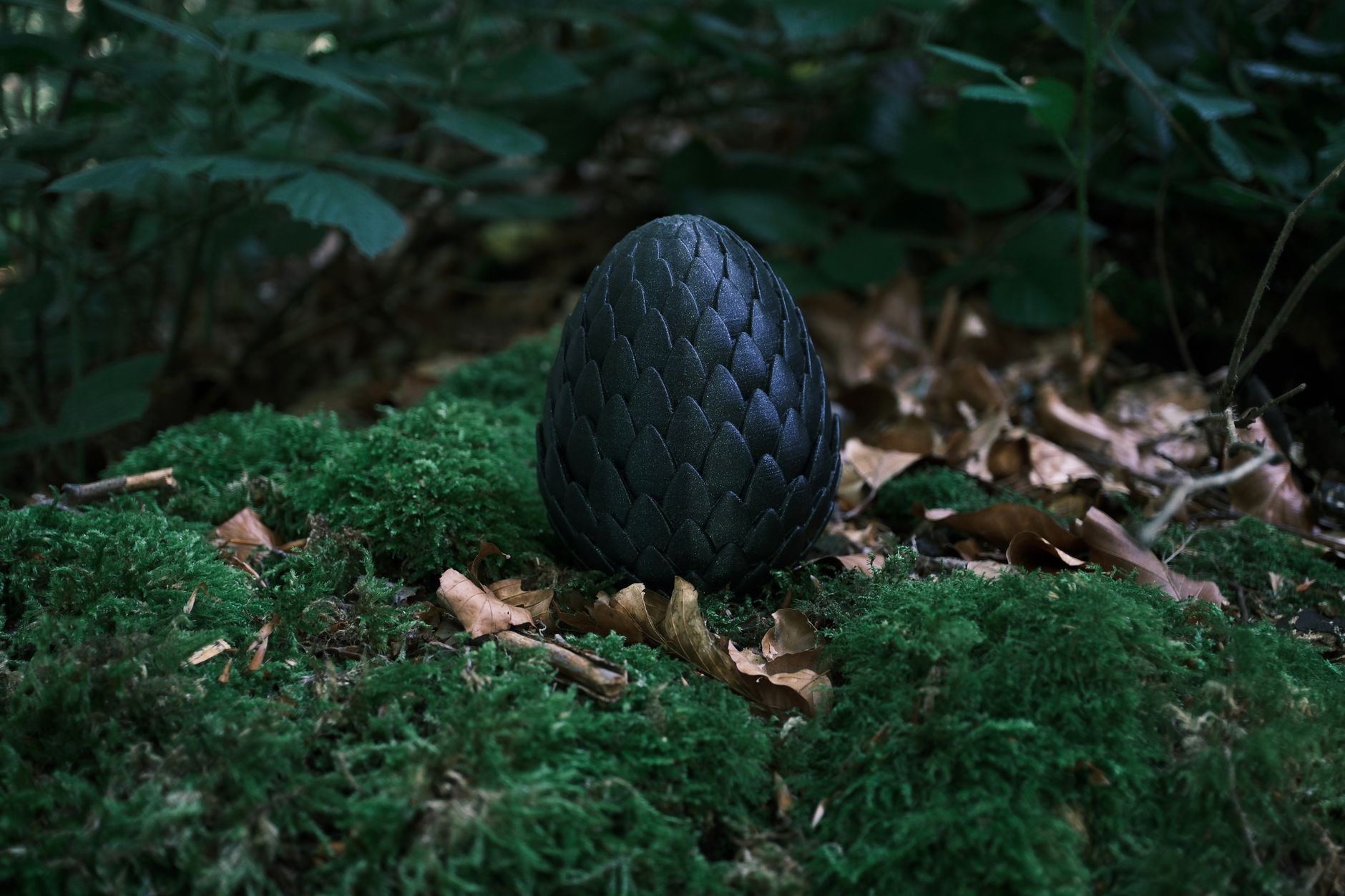 A dark egg-like object nestled among green moss and foliage in a serene forest.