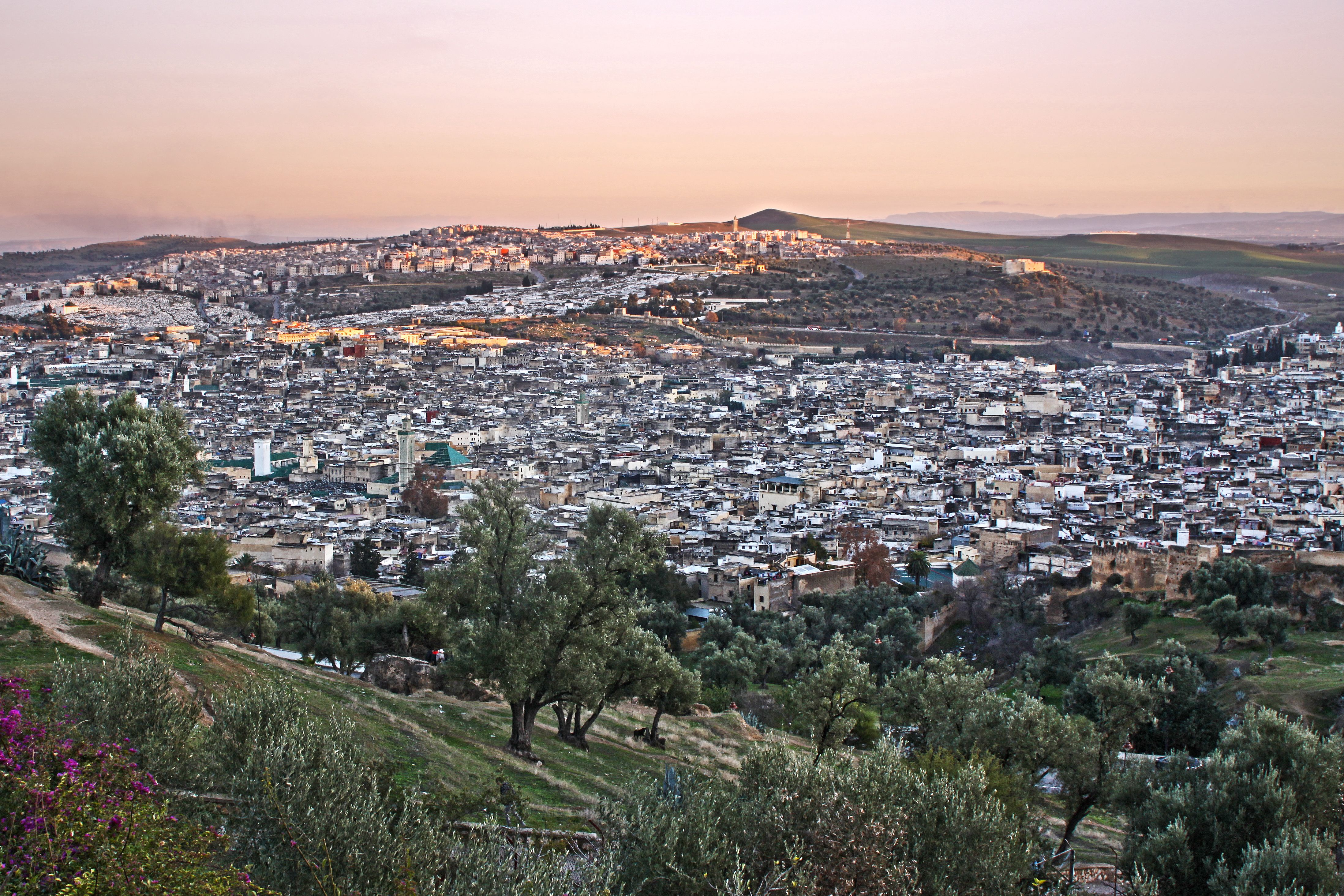7-Day Desert & Imperial Tour from Fes