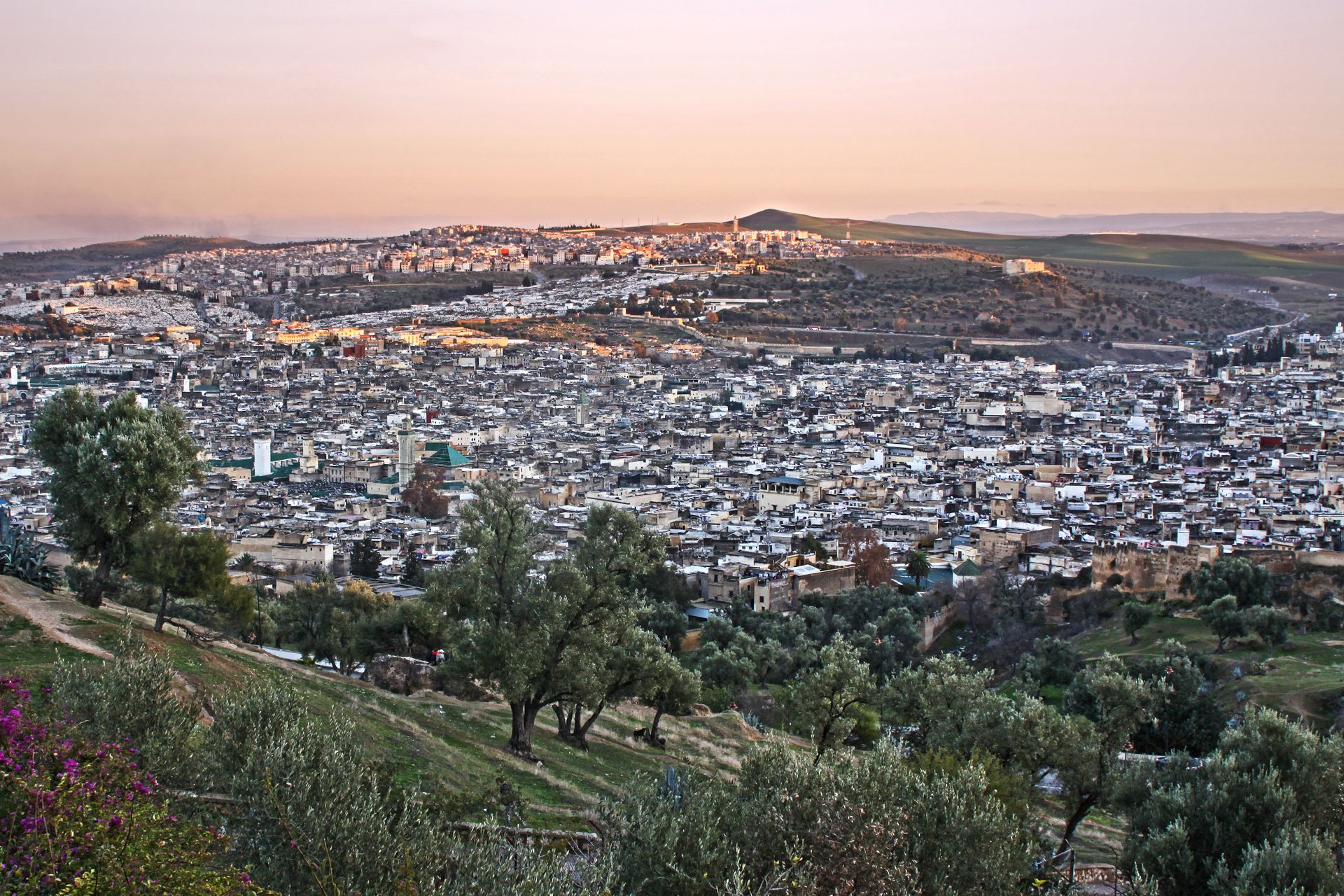 7-Day Desert & Imperial Tour from Fes image 1
