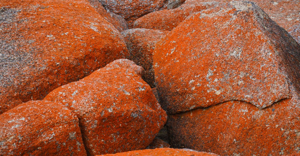 MP's Pichore granite dates back 2.5 billion years, study finds