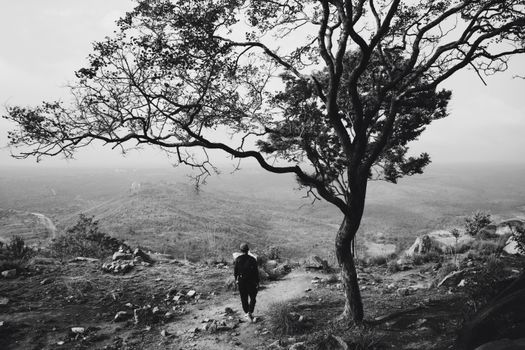 Person walking along a scenic mountain path under a tree in black and white.