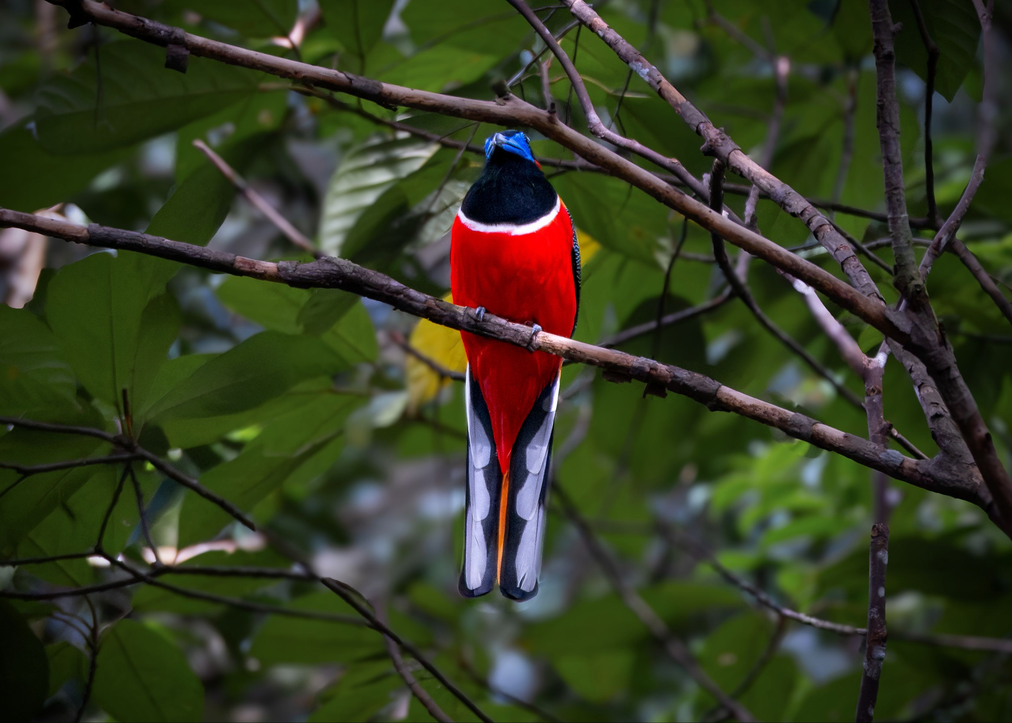Foto: Pok Rie / Pexels