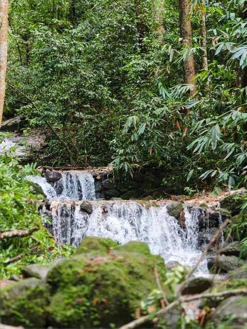 Free A tranquil waterfall cascades in a lush forest setting, surrounded by vibrant greenery. Stock Photo