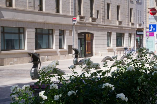 Des roses blanches encadrent des sculptures animalières abstraites dans une rue de Niort