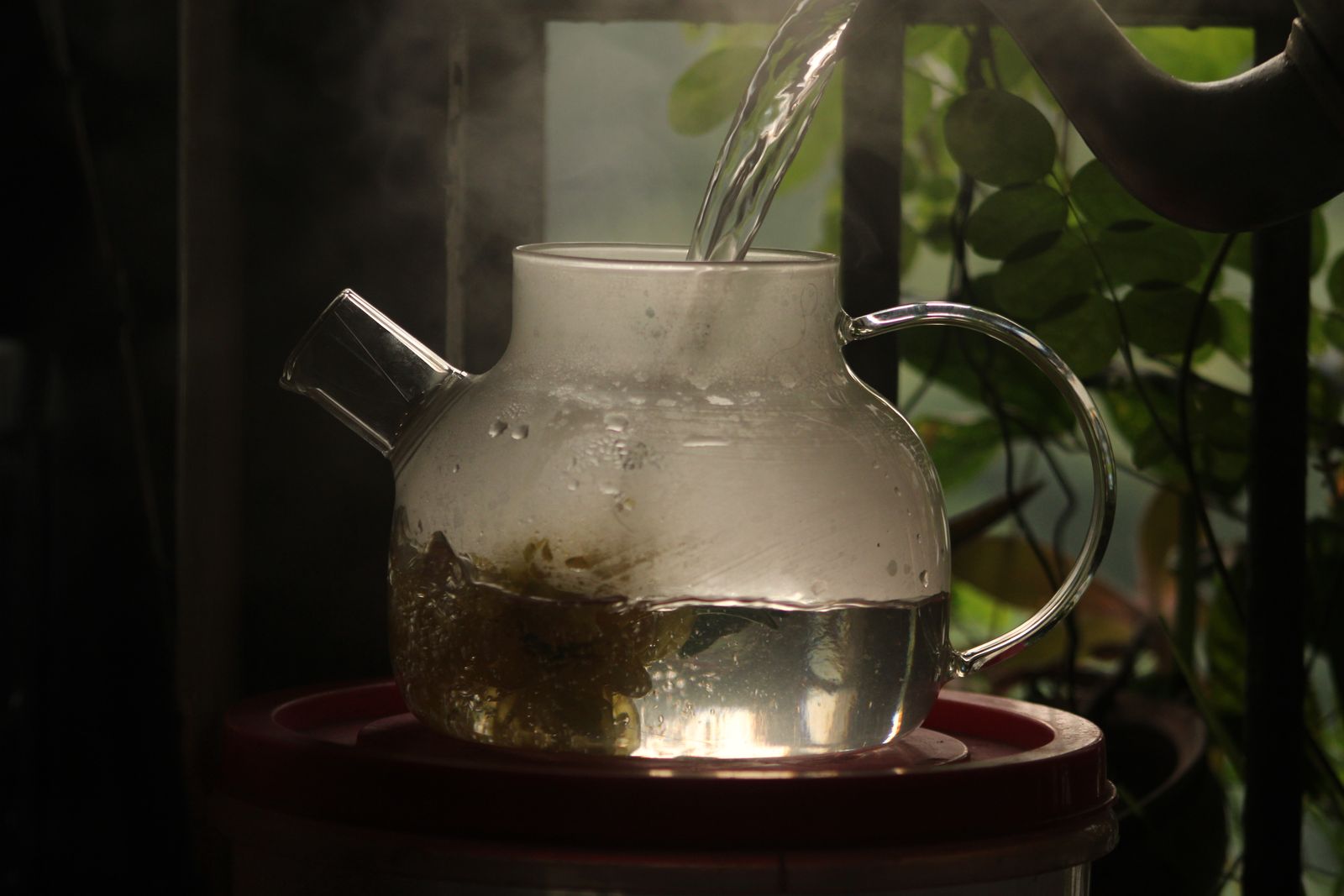 Water pouring into a steaming glass teapot of herbs, backlit by warm light near green leaves