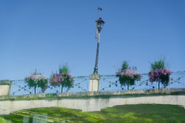 Reflet artistique de fleurs et d'un lampadaire dans l'eau, effet onirique sous un ciel dégagé