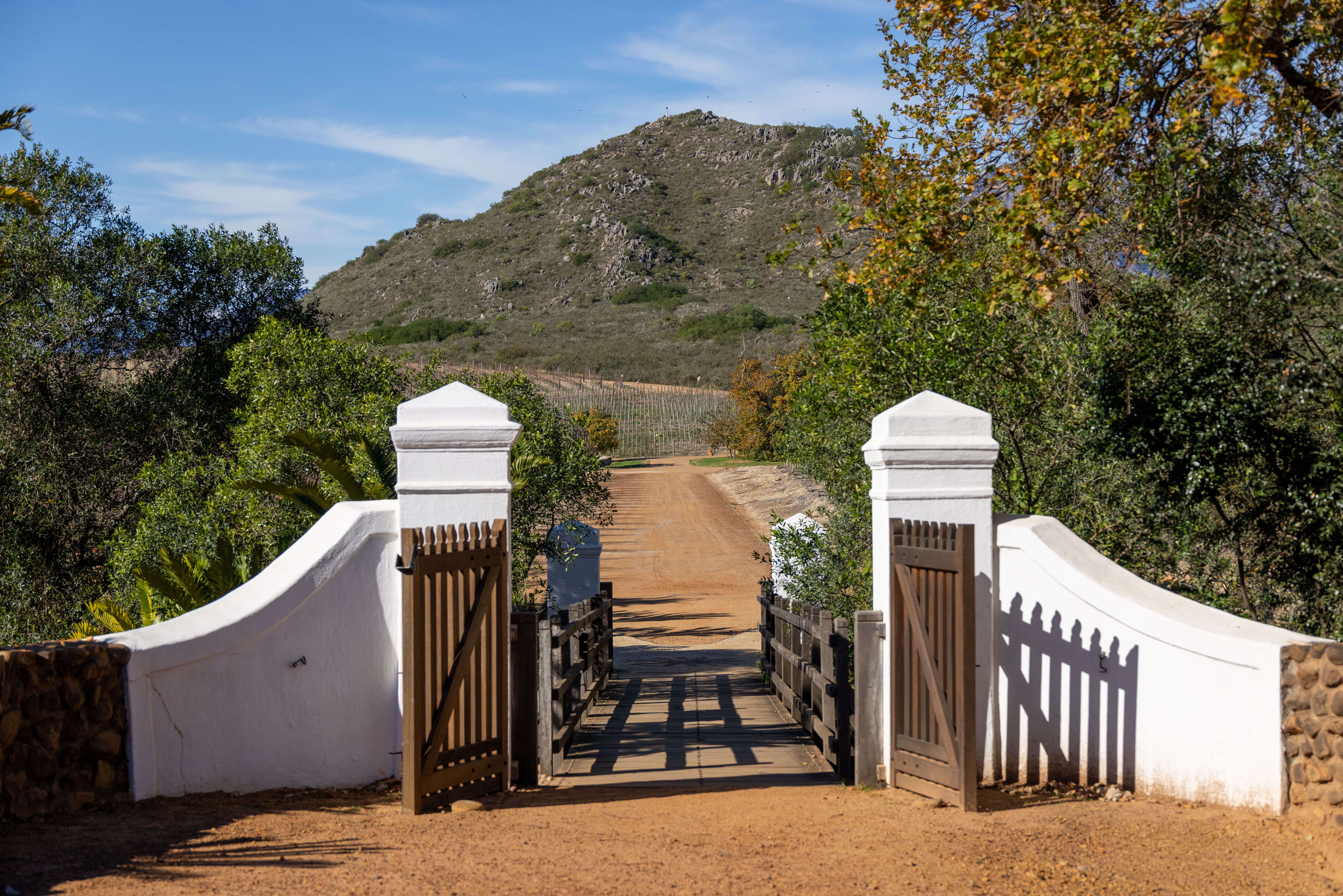 Estate entrance gate framed by vine rows