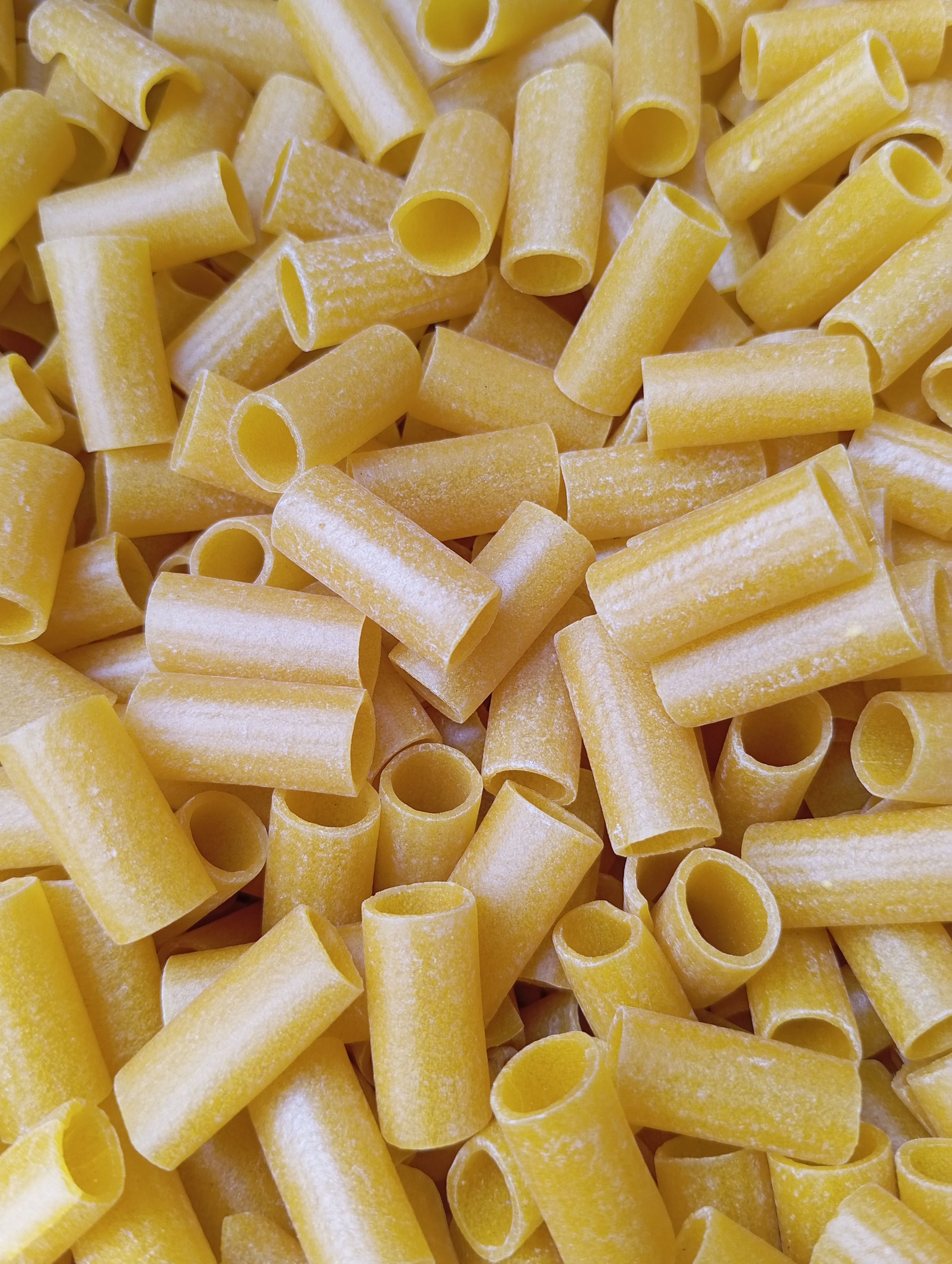 Dried rigatoni pasta tubes scattered on white background`