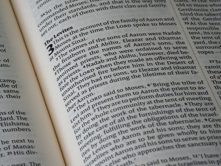 The Parable of the Lost Sheep: What Jesus Really Means