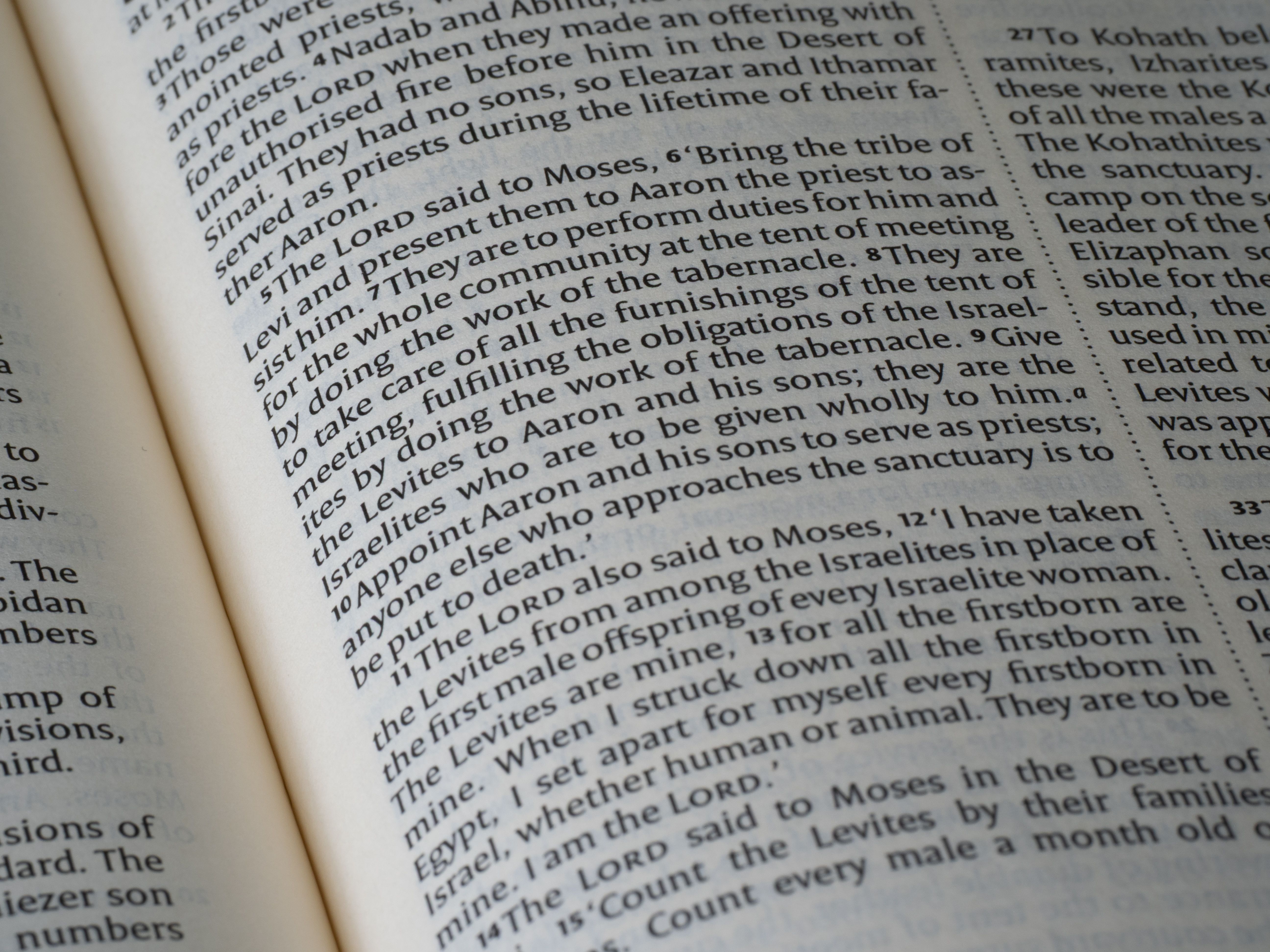 The Jewish Study Bible Featuring The Jewish Publication Society Tanakh Translation By Adele Berlin, Marc Zvi Brettler, Michael Fishbane