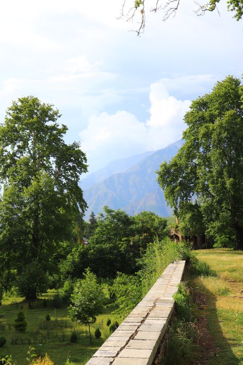 Free Explore a peaceful nature path amidst lush greenery with a stunning mountain backdrop. Stock Photo