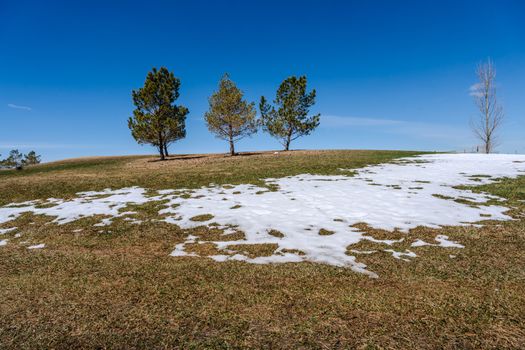 A picturesque winter landscape featuring melting snow on a grassy hill under a clear blue sky.