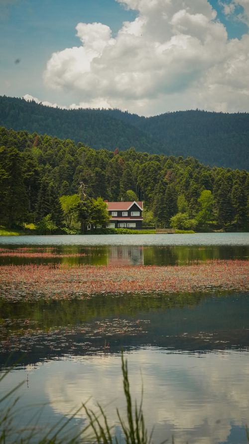 Free Serene lakefront house with lush forest in Bolu, Türkiye, reflecting on tranquil water. Stock Photo