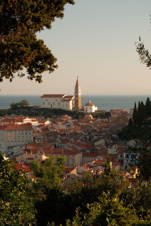 Free Scenic view of Piran's rooftops and church tower against the Adriatic Sea at sunset. Stock Photo