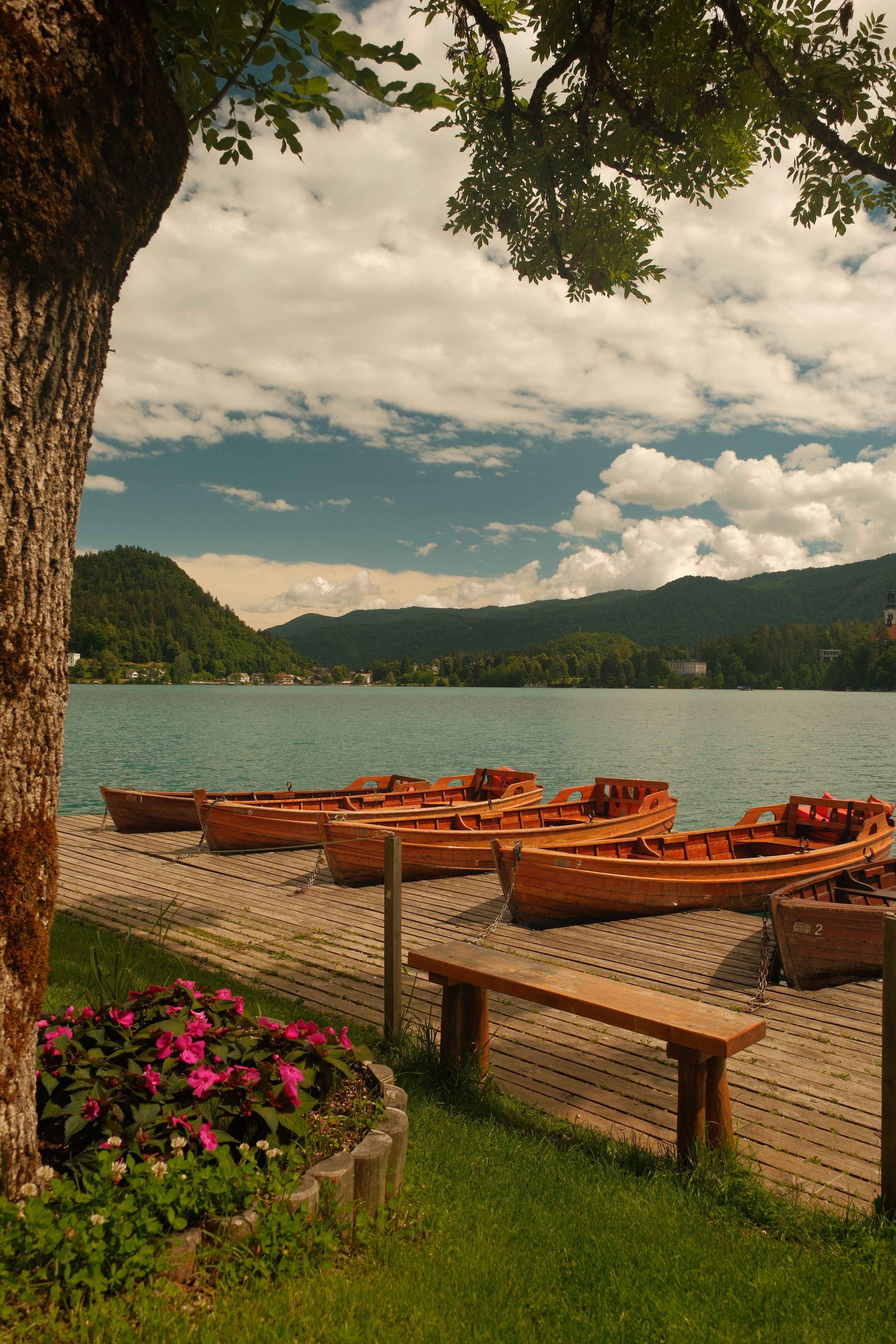 Peaceful lake with wooden boats at dock, lush surroundings and mountain view.