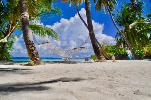 A serene hammock hangs between palm trees on a tropical beach, ideal for relaxation.