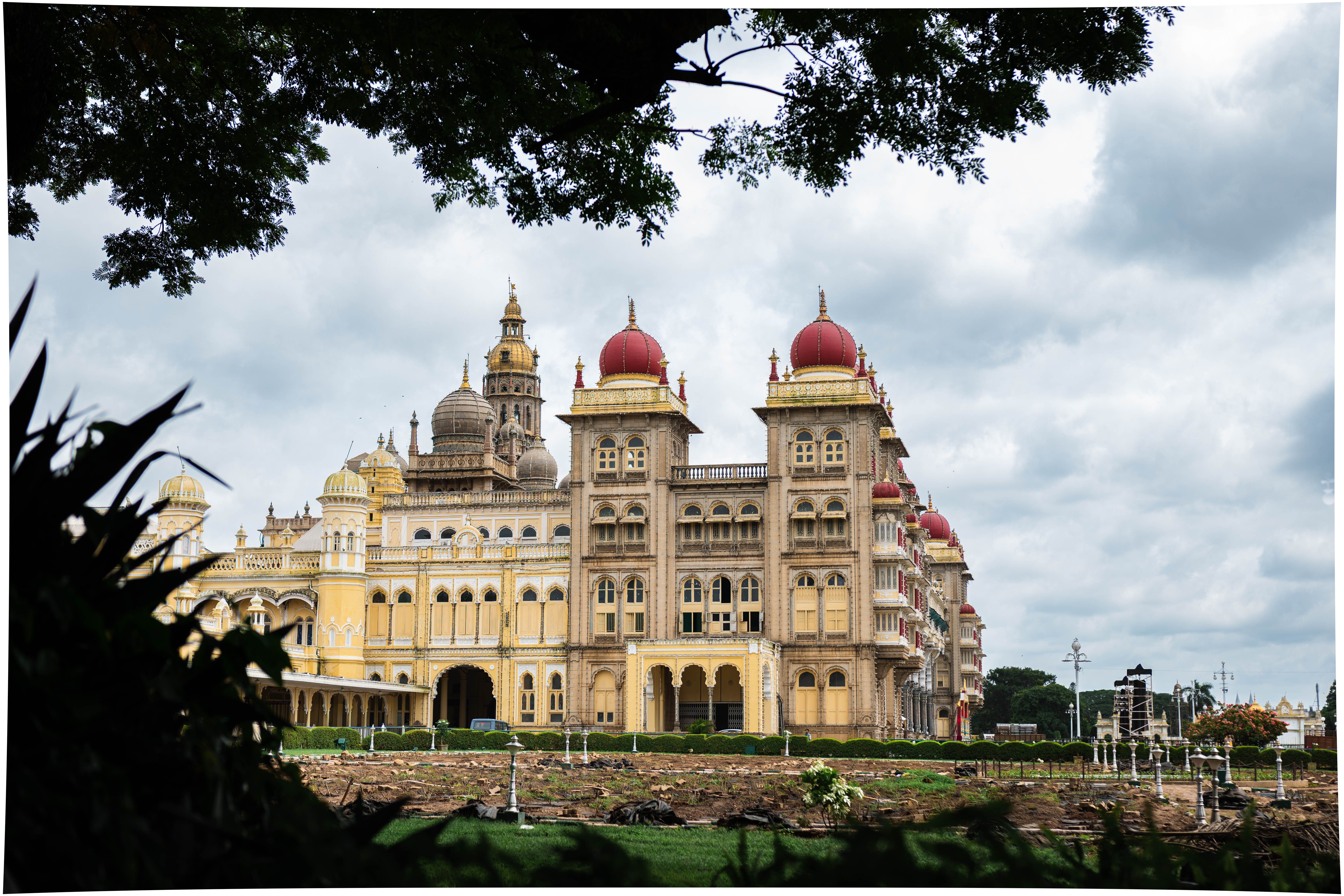 Mysore Zoo Visitor Guide: Tickets, Timings and Highlights
