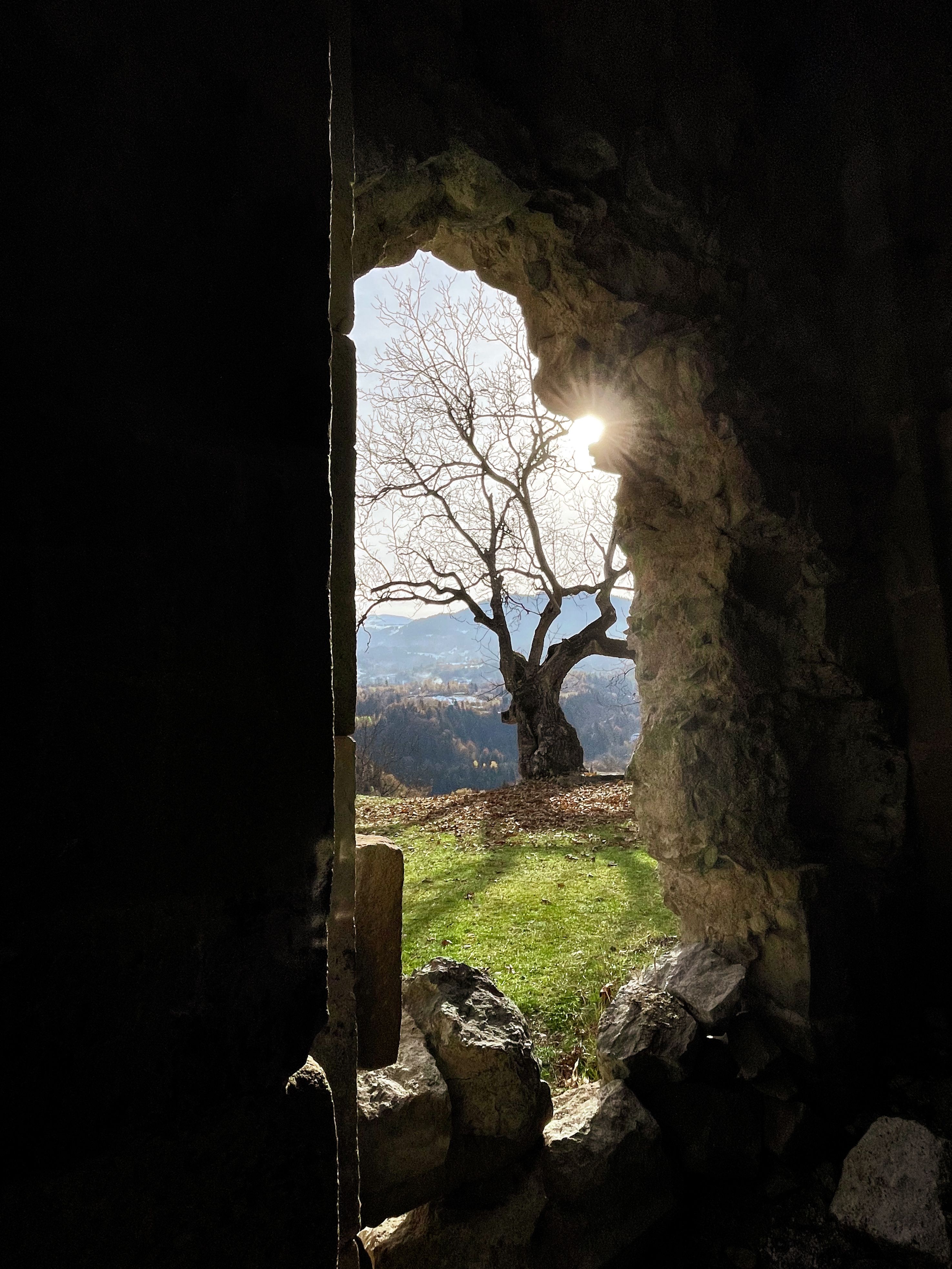 Capture of sunlight through an ancient stone archway framing a lone tree.